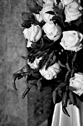 Fiori e piante perugia umbria